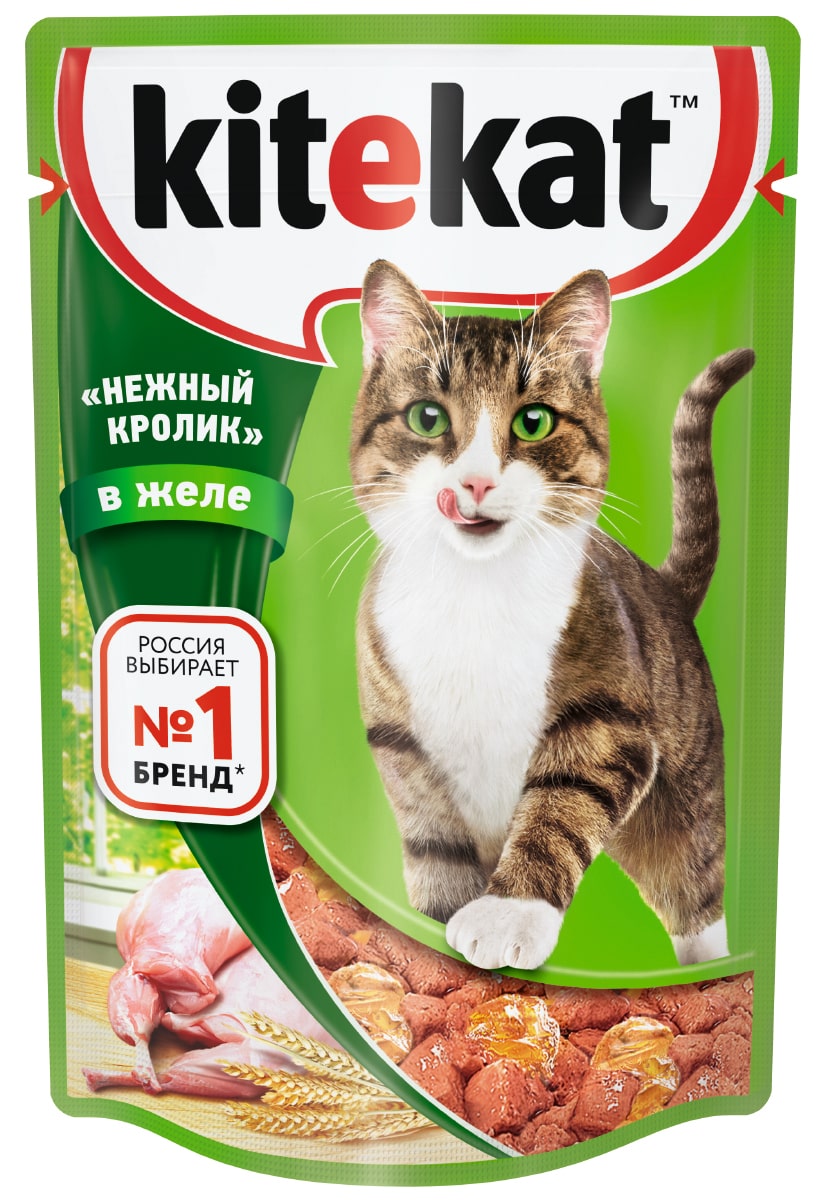 Доклад: Сухие корма в питании кошек